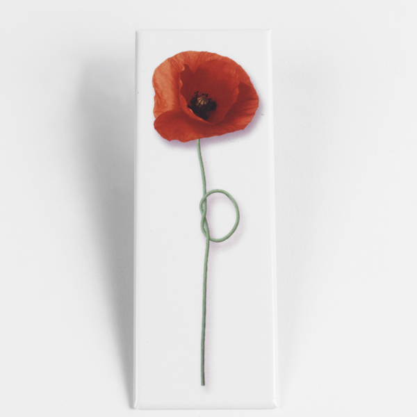 Poppy panoramic magnet