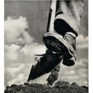 Dig For Victory Poster