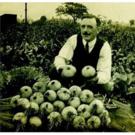 Allotments