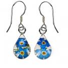 Real Forget-me-not earrings